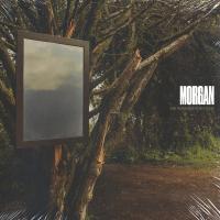 Виниловая пластинка MORGAN / THE RIVER AND THE STONE (2LP)